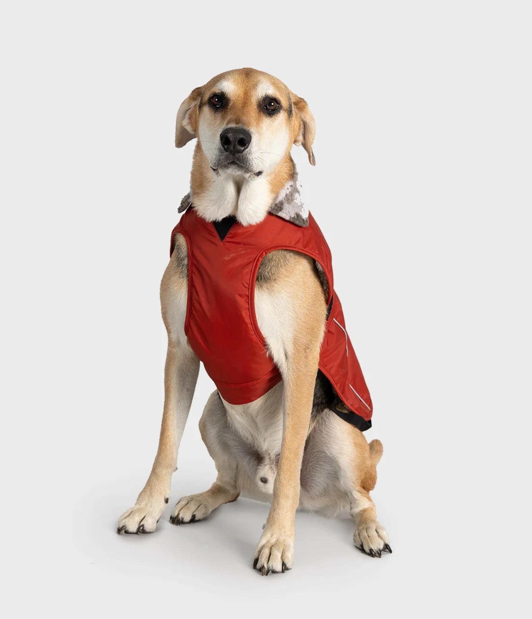 DRYROBE Dog Coat Hundemantel Burnt Orange XL wetterfest und wasserdicht mit Fleece-Futter